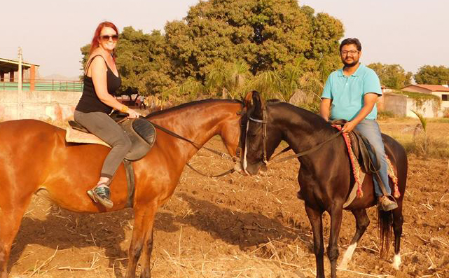 horse safari in gujarat