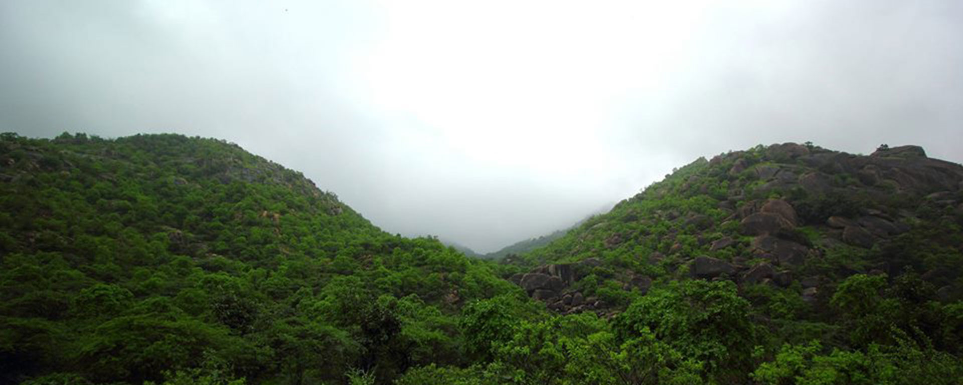 Hotel Araavali trails slider